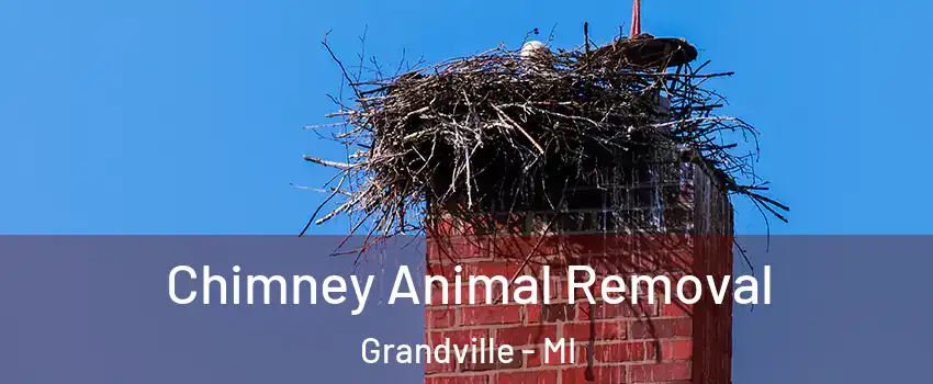  Chimney Animal Removal Grandville - MI