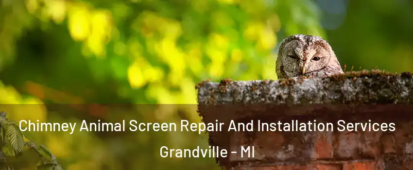  Chimney Animal Screen Repair And Installation Services Grandville - MI
