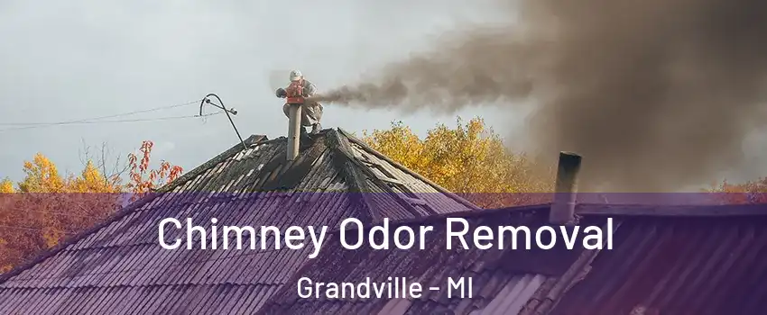  Chimney Odor Removal Grandville - MI