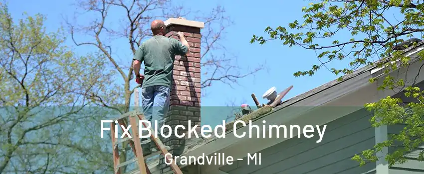  Fix Blocked Chimney Grandville - MI