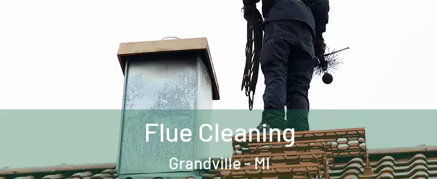  Flue Cleaning Grandville - MI