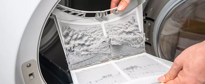 Best Dryer Lint Removal Company in Grandville, Michigan