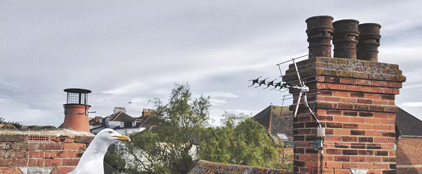 Chimney Cleaning And Restoration in Grandville, Michigan