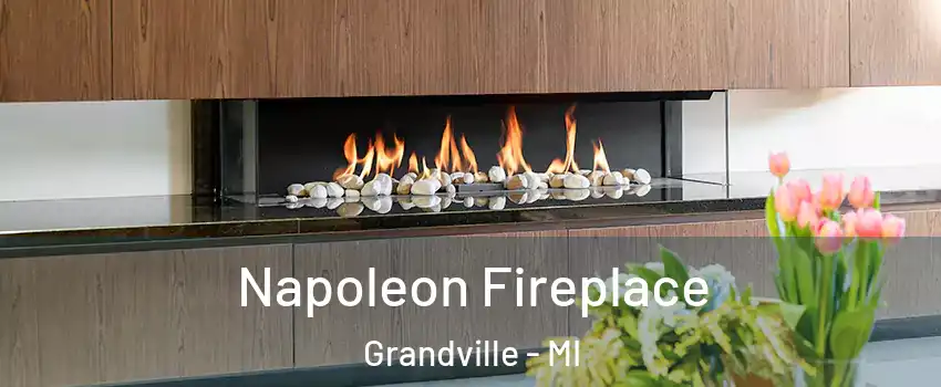  Napoleon Fireplace Grandville - MI