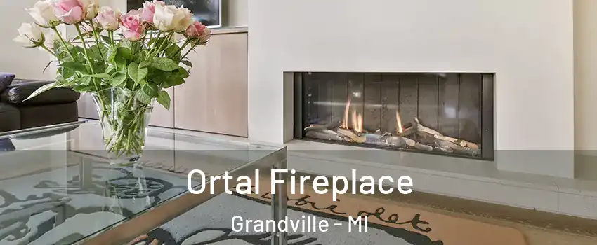  Ortal Fireplace Grandville - MI